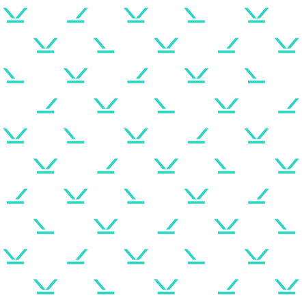 FEI_Vaulting_Pattern_RGB_HR