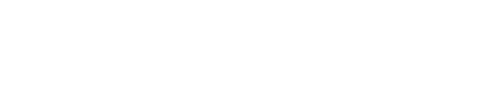 Paardensport Vlaanderen Logo wit